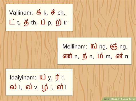 vallinam mellinam idaiyinam in tamil|Chapter 1.2 Consonants – Basic Tamil